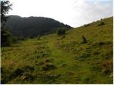 Črnivec - Planina Travnik